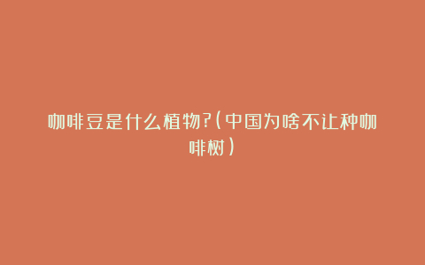 咖啡豆是什么植物?(中国为啥不让种咖啡树)