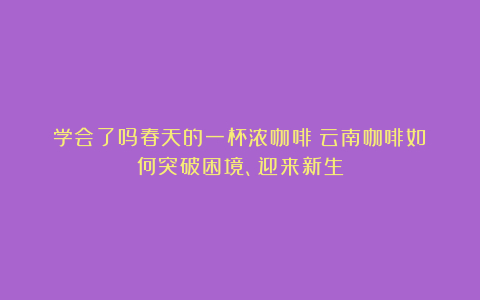 学会了吗春天的一杯浓咖啡：云南咖啡如何突破困境、迎来新生