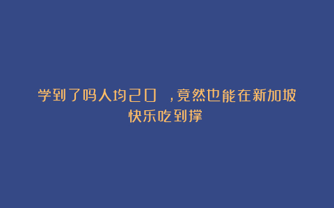 学到了吗人均20 ，竟然也能在新加坡快乐吃到撑？