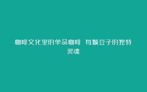 咖啡文化里的单品咖啡 每颗豆子的独特灵魂