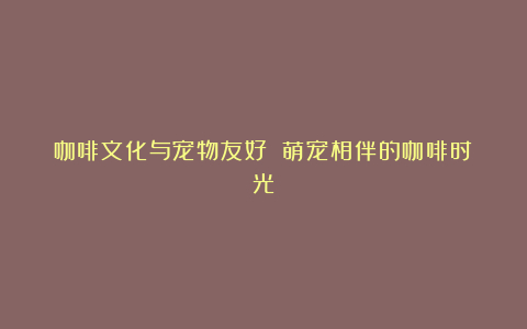 咖啡文化与宠物友好 萌宠相伴的咖啡时光