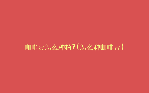 咖啡豆怎么种植?(怎么种咖啡豆)