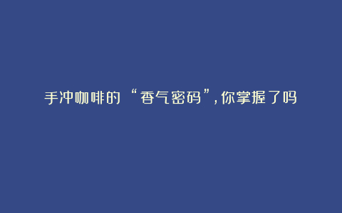 手冲咖啡的 “香气密码”,你掌握了吗?