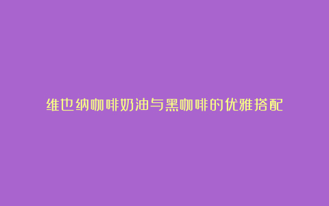 维也纳咖啡奶油与黑咖啡的优雅搭配