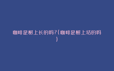 咖啡是树上长的吗?(咖啡是树上结的吗)
