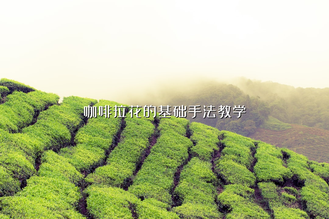 咖啡拉花的基础手法教学