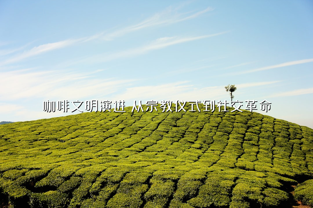 咖啡文明演进：从宗教仪式到社交革命