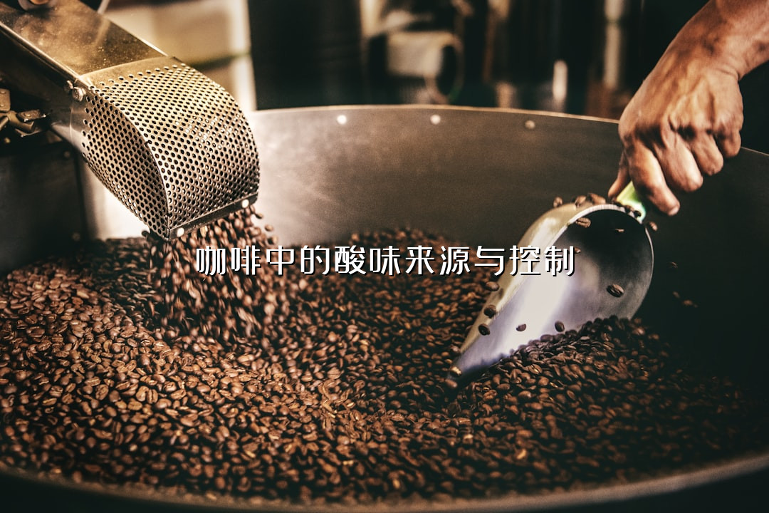 咖啡中的酸味来源与控制