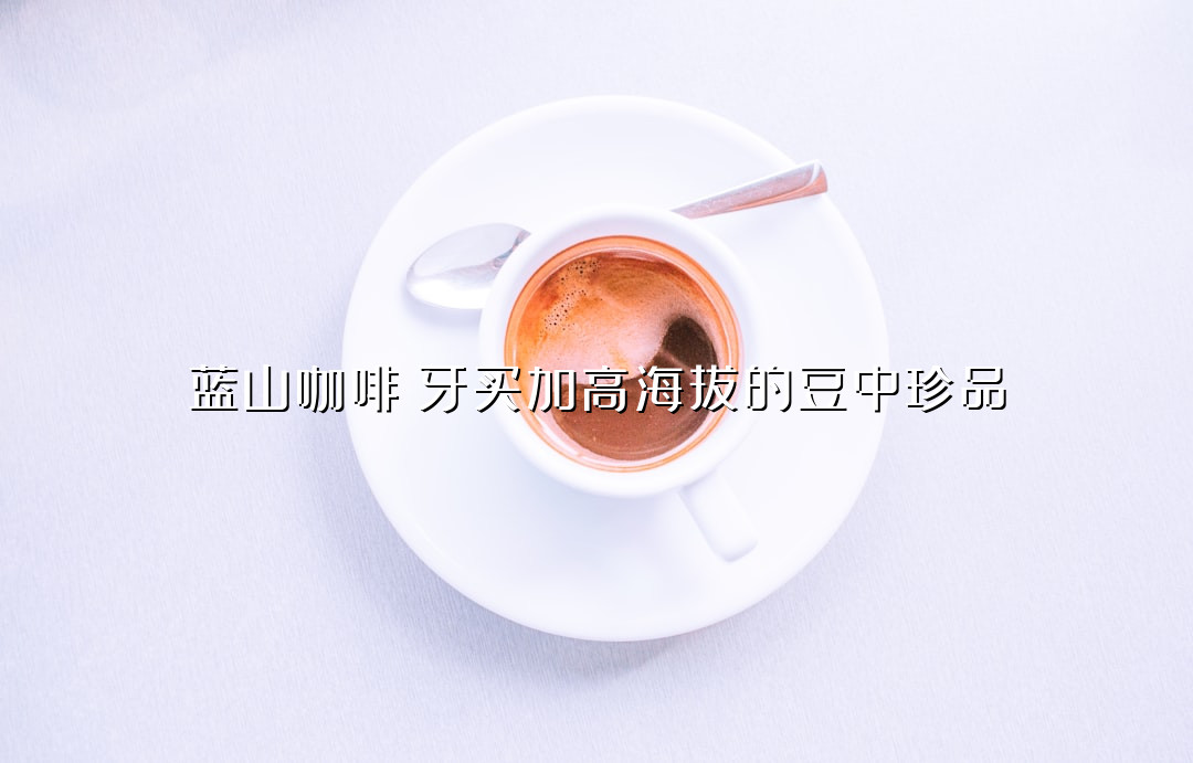蓝山咖啡：牙买加高海拔的豆中珍品