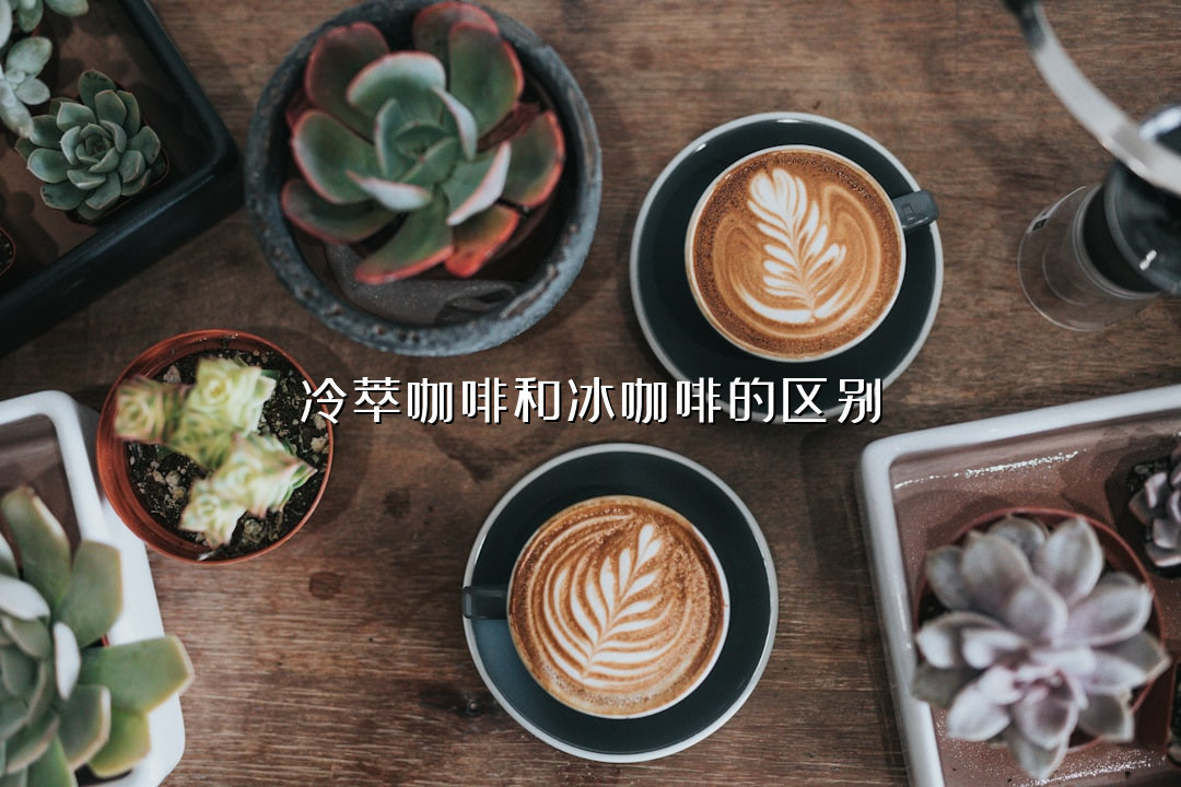 冷萃咖啡和冰咖啡的区别