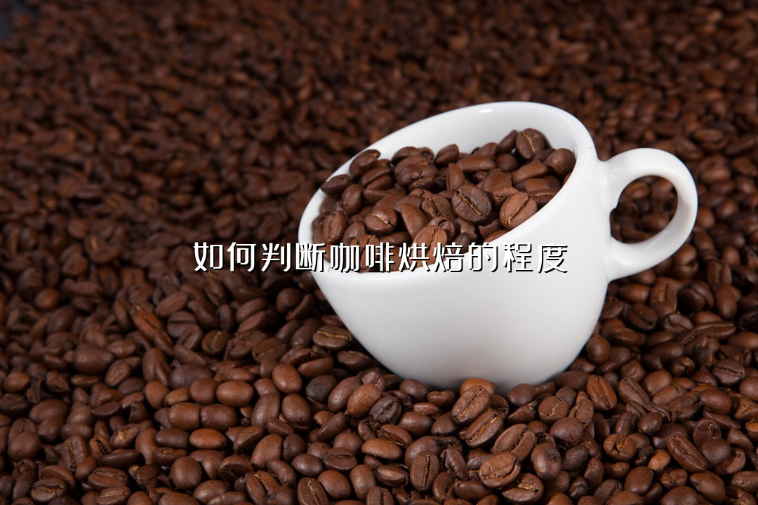 如何判断咖啡烘焙的程度
