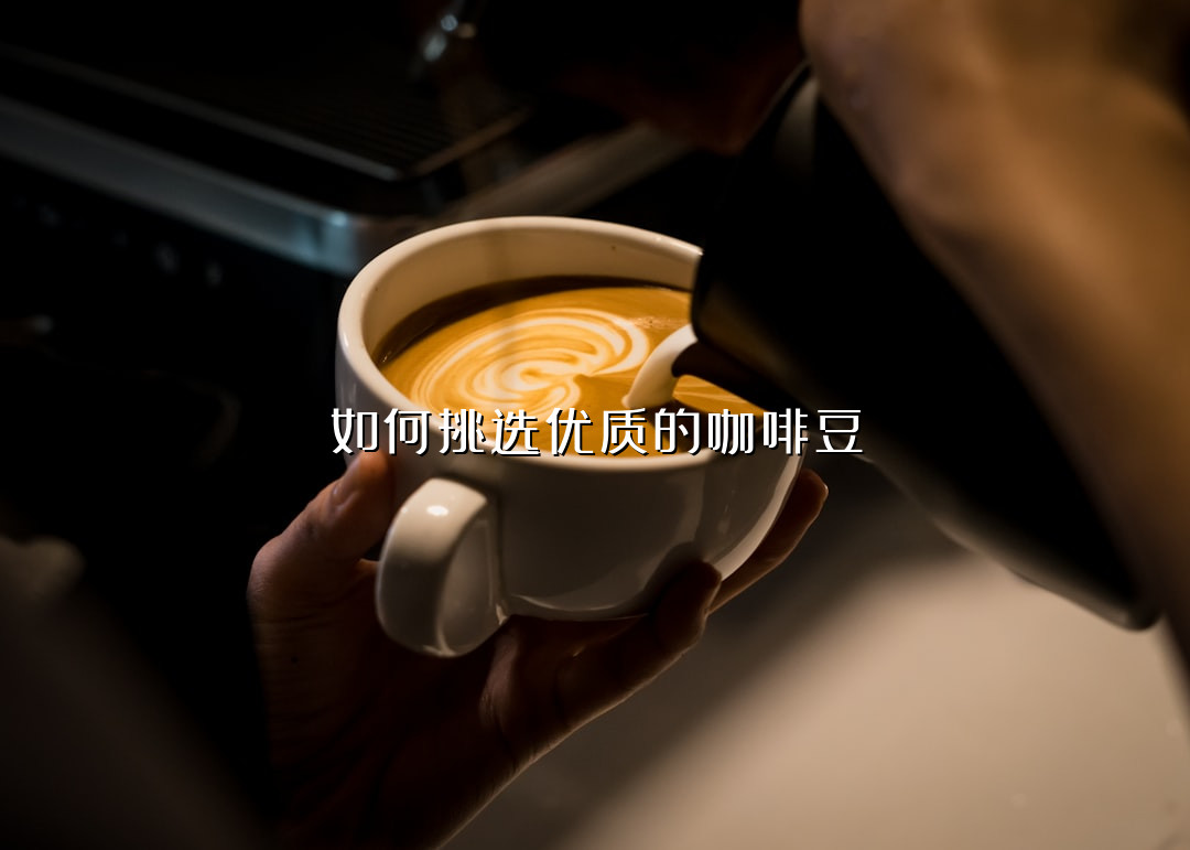 如何挑选优质的咖啡豆
