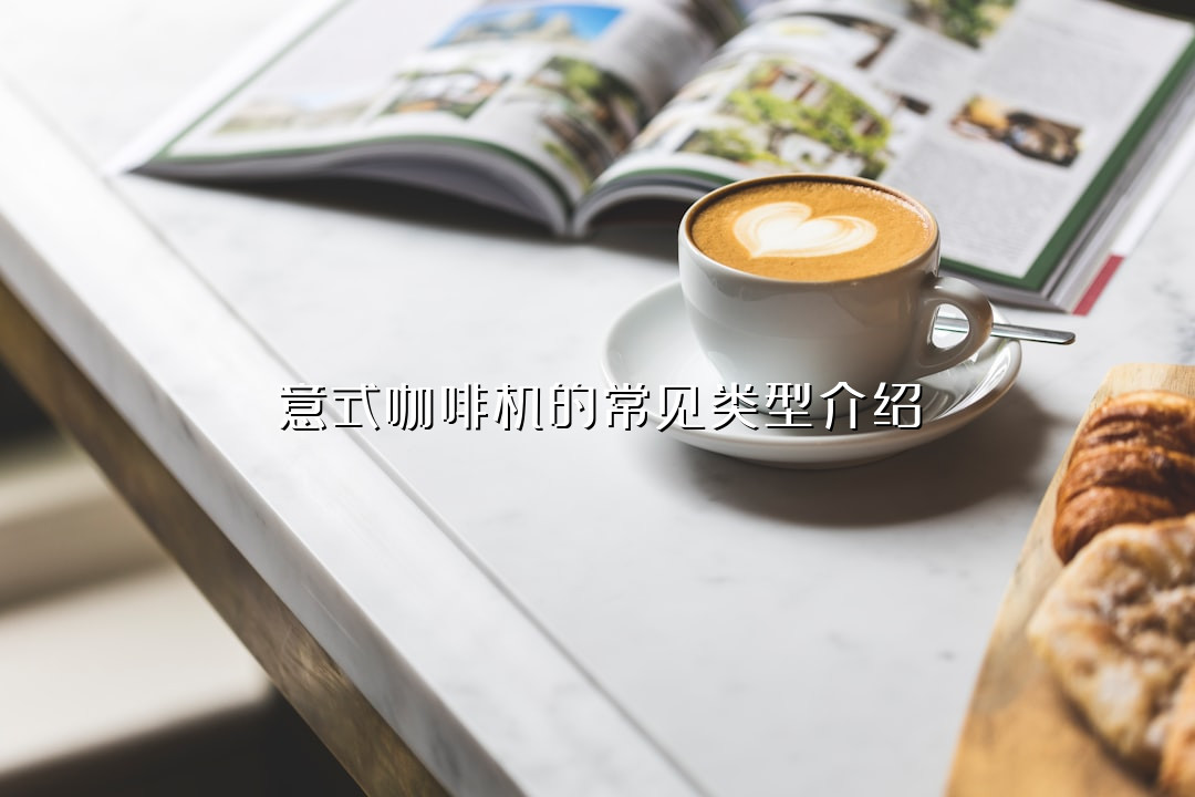 意式咖啡机的常见类型介绍