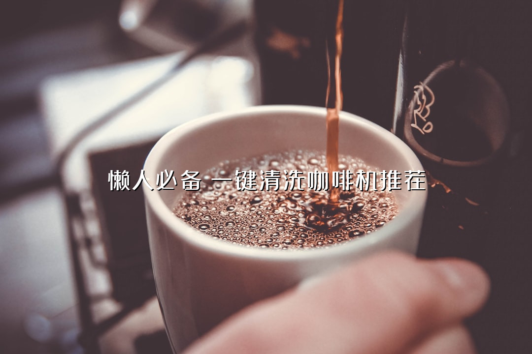 懒人必备！一键清洗咖啡机推荐