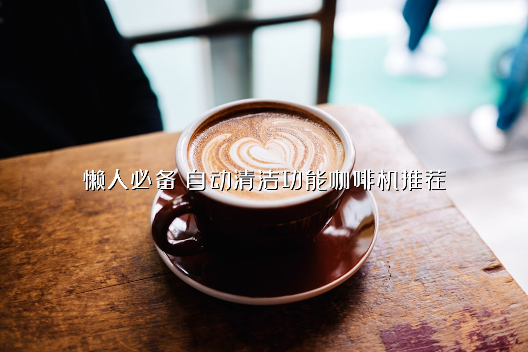 懒人必备！自动清洁功能咖啡机推荐