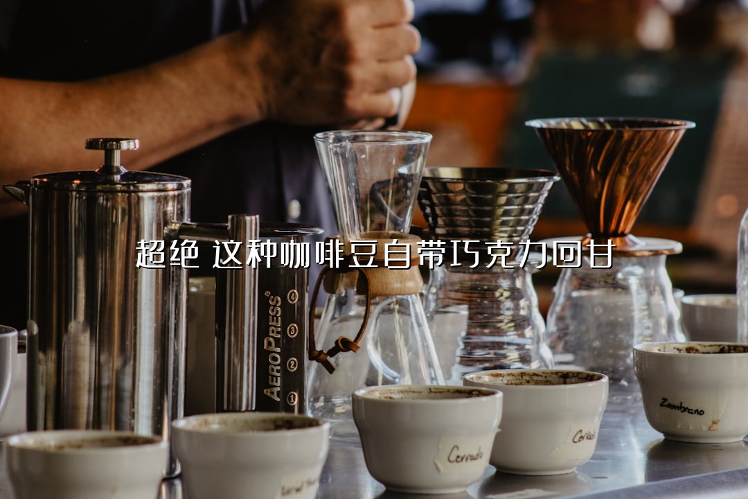 超绝！这种咖啡豆自带巧克力回甘