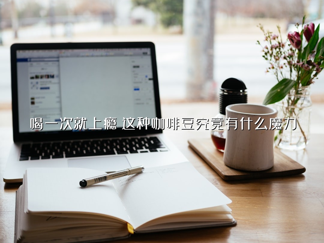 喝一次就上瘾！这种咖啡豆究竟有什么魔力