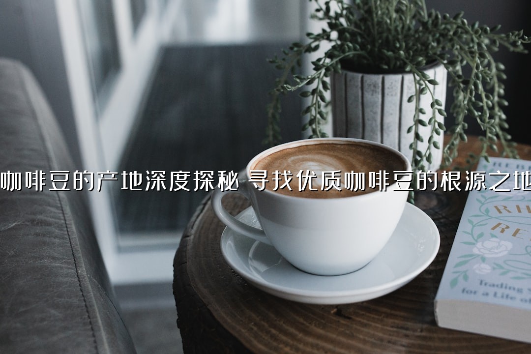 咖啡豆的产地深度探秘：寻找优质咖啡豆的根源之地