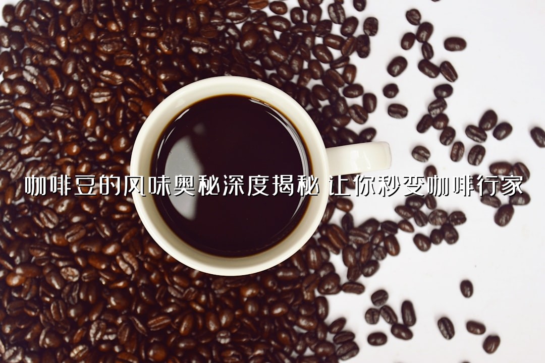 咖啡豆的风味奥秘深度揭秘：让你秒变咖啡行家