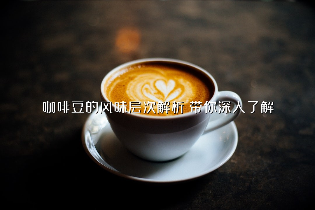 咖啡豆的风味层次解析：带你深入了解
