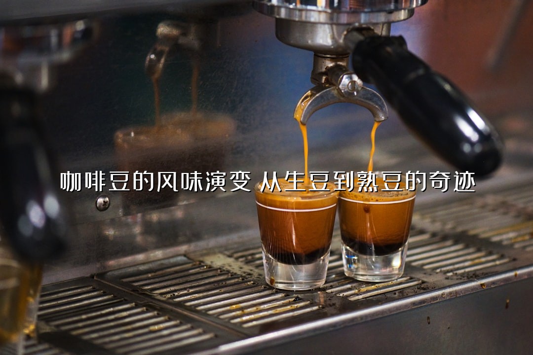 咖啡豆的风味演变：从生豆到熟豆的奇迹