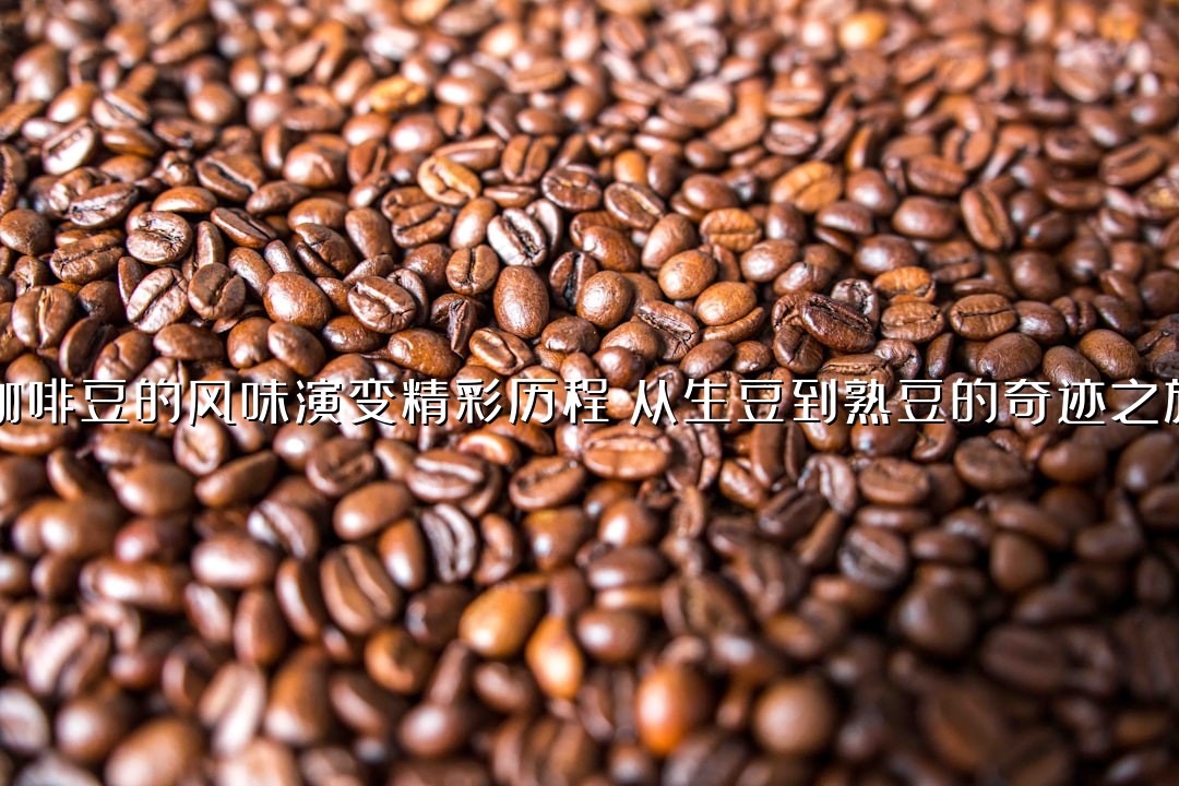 咖啡豆的风味演变精彩历程：从生豆到熟豆的奇迹之旅