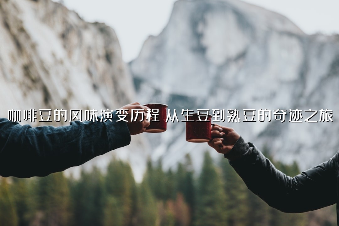咖啡豆的风味演变历程：从生豆到熟豆的奇迹之旅