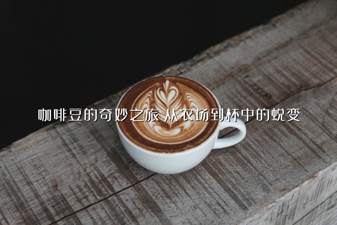 咖啡豆的奇妙之旅：从农场到杯中的蜕变