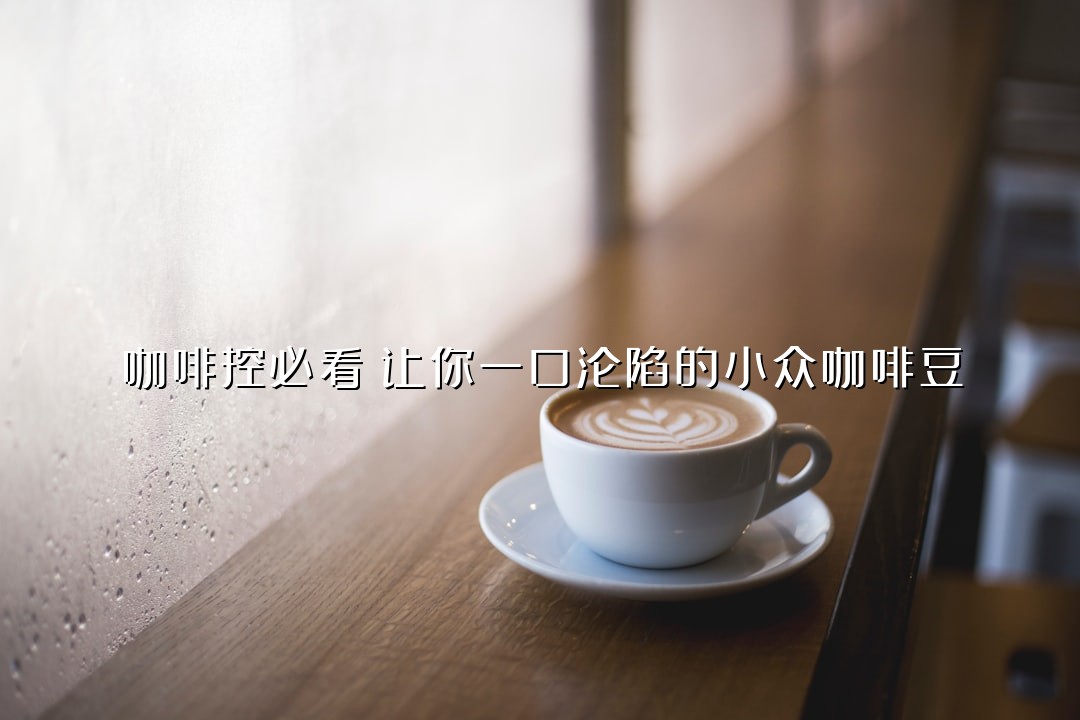 咖啡控必看！让你一口沦陷的小众咖啡豆