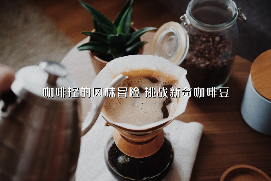 咖啡控的风味冒险：挑战新奇咖啡豆