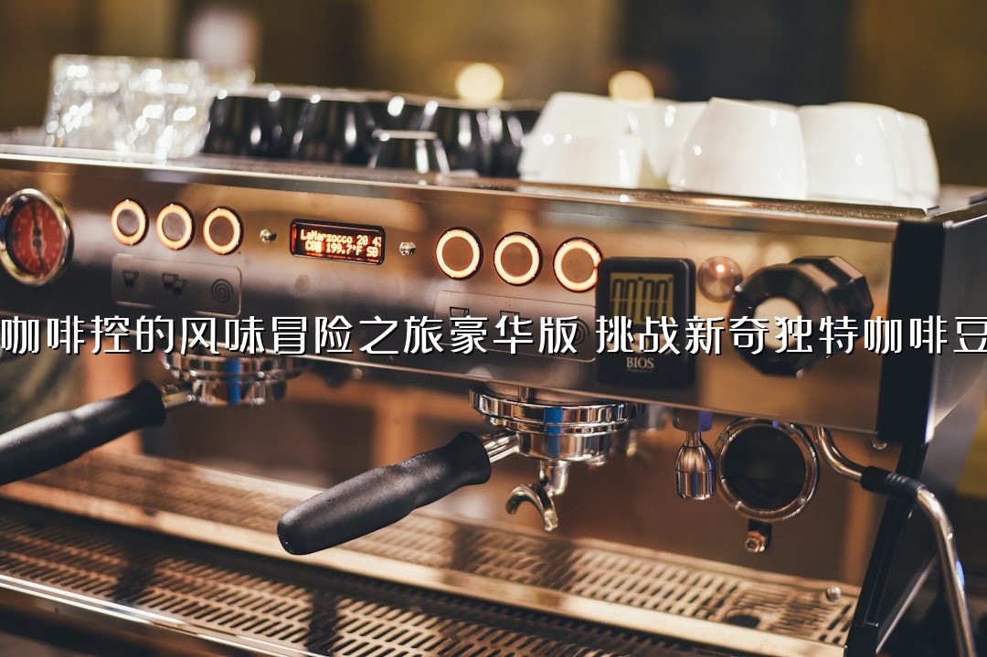 咖啡控的风味冒险之旅豪华版：挑战新奇独特咖啡豆