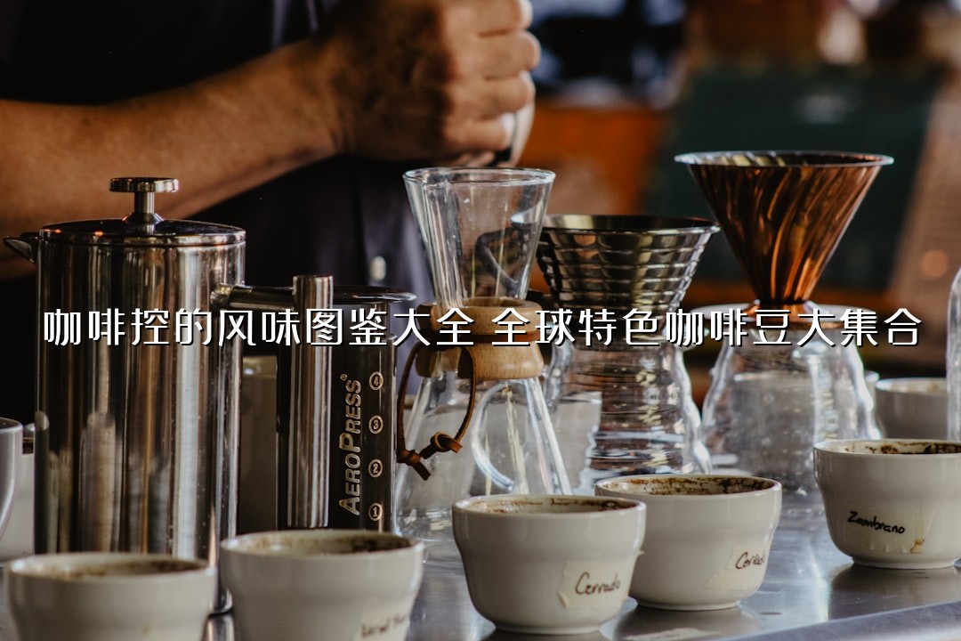 咖啡控的风味图鉴大全：全球特色咖啡豆大集合