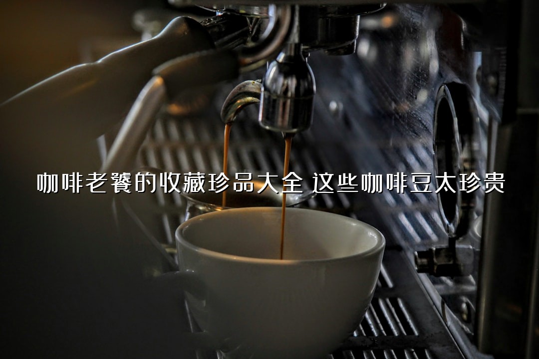 咖啡老饕的收藏珍品大全：这些咖啡豆太珍贵