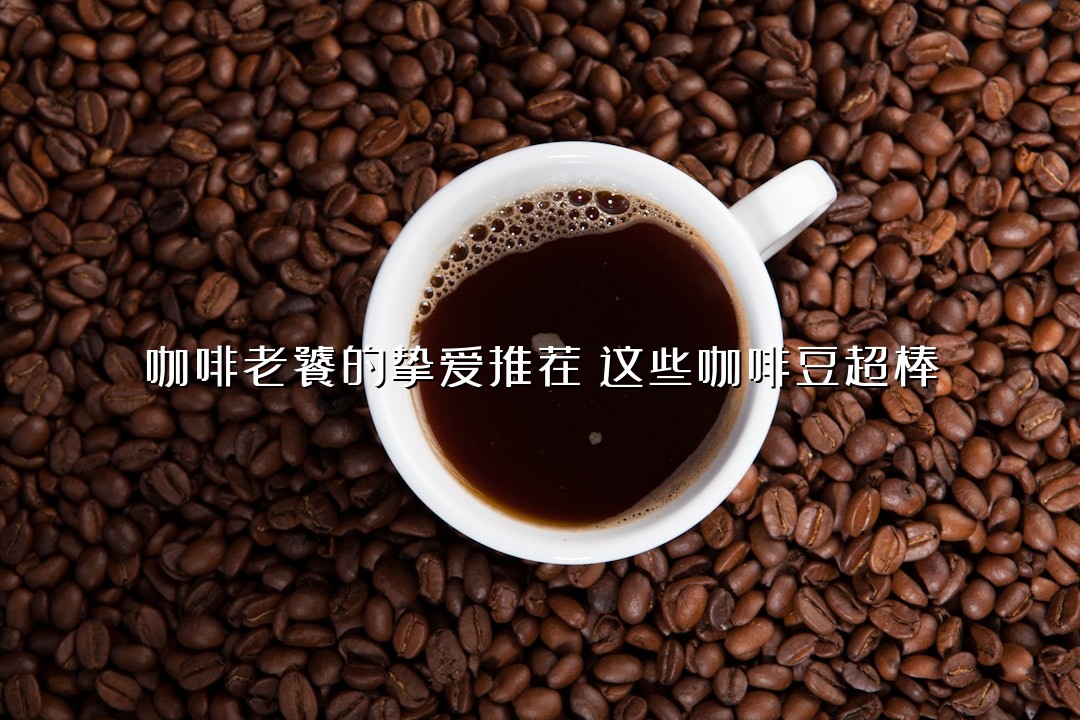 咖啡老饕的挚爱推荐：这些咖啡豆超棒