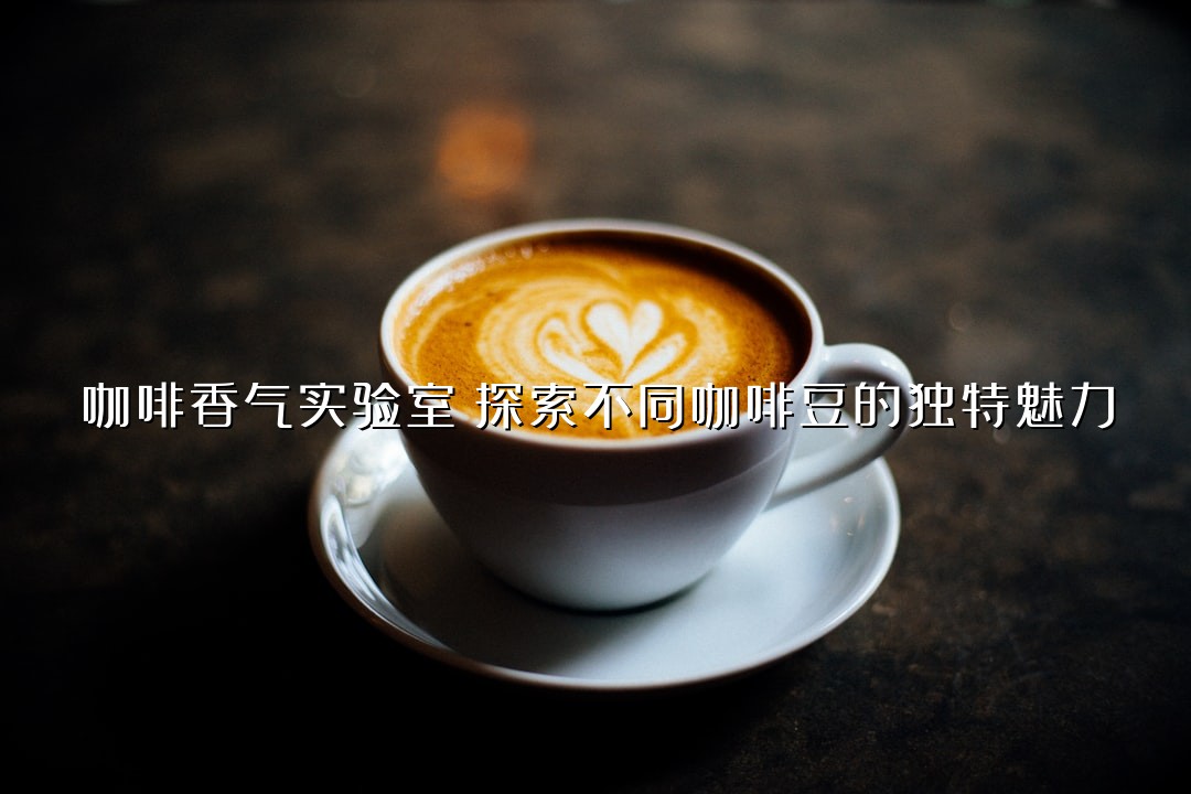 咖啡香气实验室：探索不同咖啡豆的独特魅力