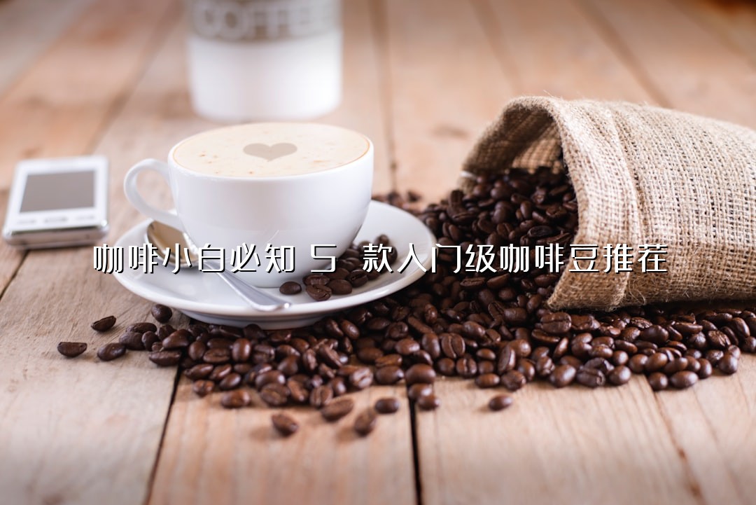 咖啡小白必知！5 款入门级咖啡豆推荐