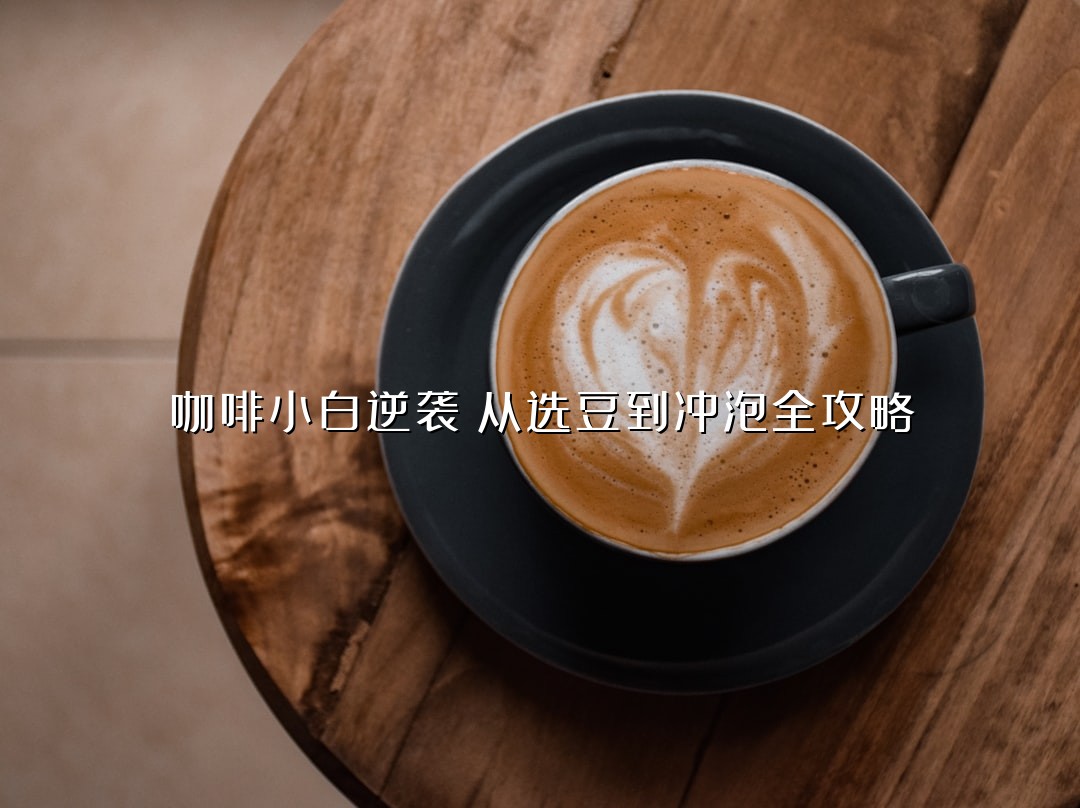 咖啡小白逆袭：从选豆到冲泡全攻略