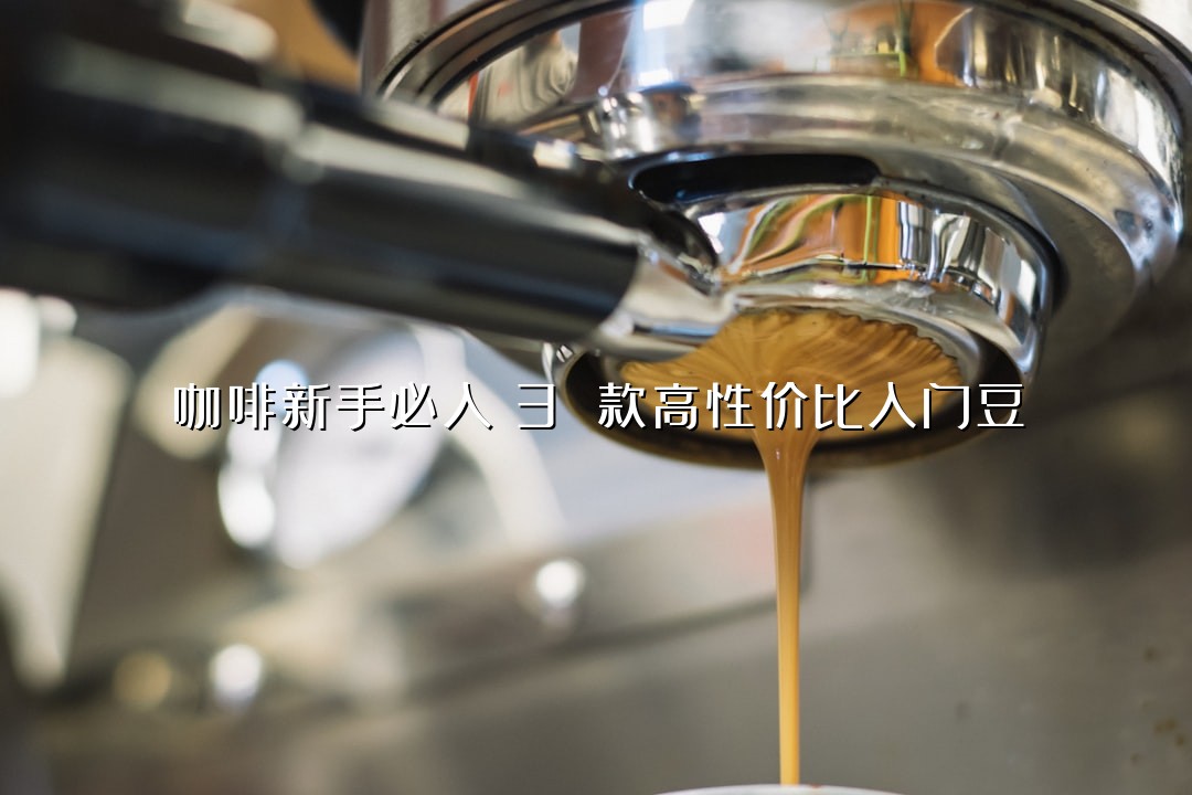 咖啡新手必入！3 款高性价比入门豆