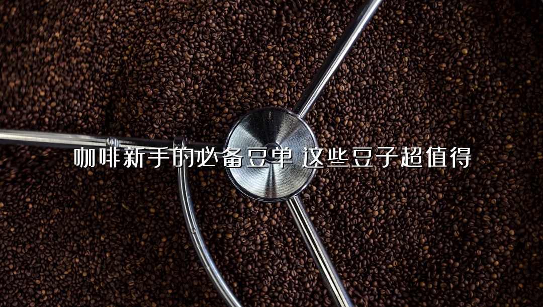 咖啡新手的必备豆单：这些豆子超值得
