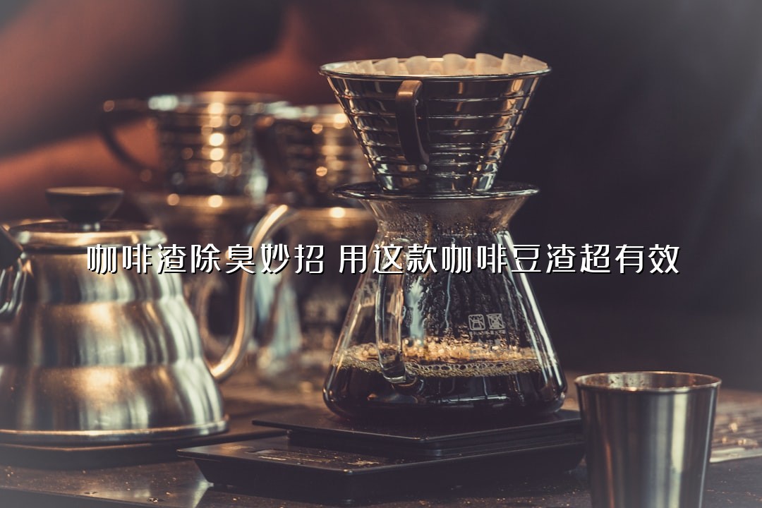 咖啡渣除臭妙招：用这款咖啡豆渣超有效