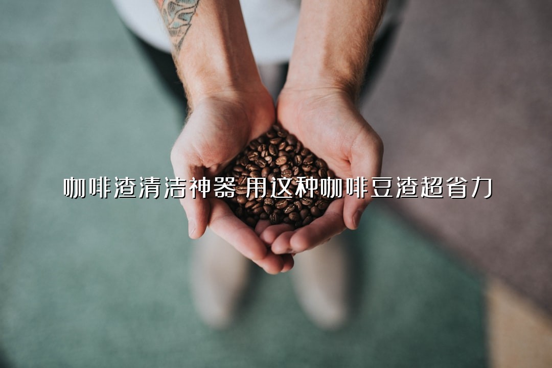 咖啡渣清洁神器：用这种咖啡豆渣超省力