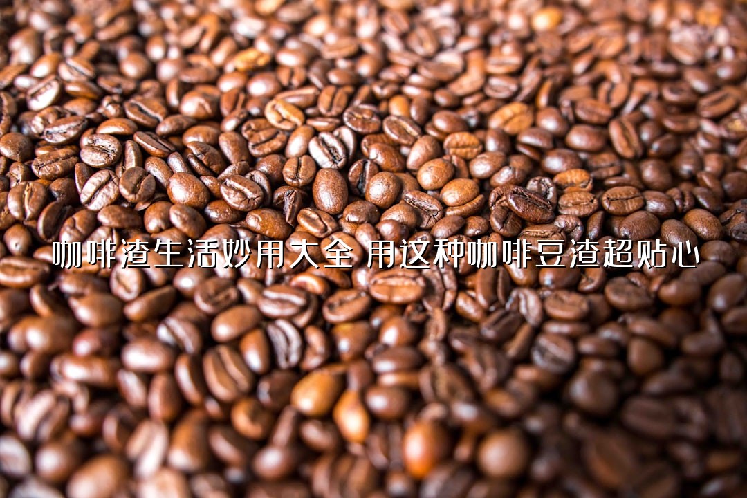 咖啡渣生活妙用大全：用这种咖啡豆渣超贴心