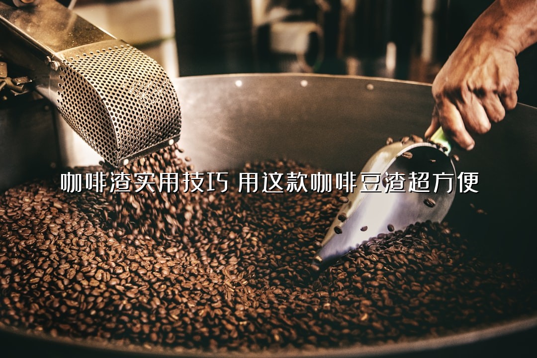 咖啡渣实用技巧：用这款咖啡豆渣超方便