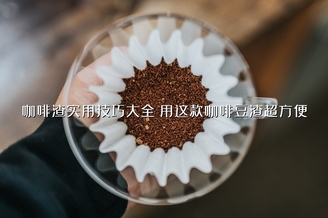 咖啡渣实用技巧大全：用这款咖啡豆渣超方便