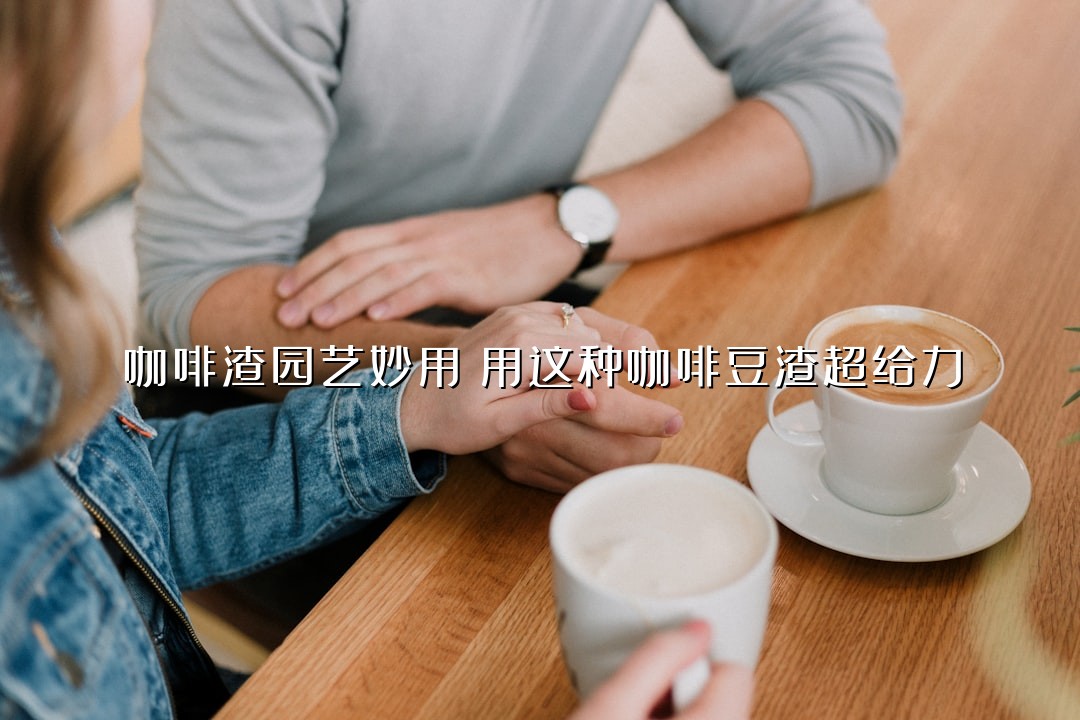 咖啡渣园艺妙用：用这种咖啡豆渣超给力