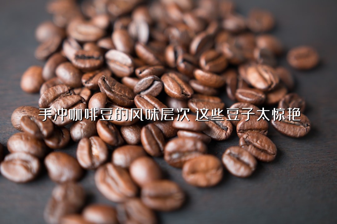 手冲咖啡豆的风味层次：这些豆子太惊艳