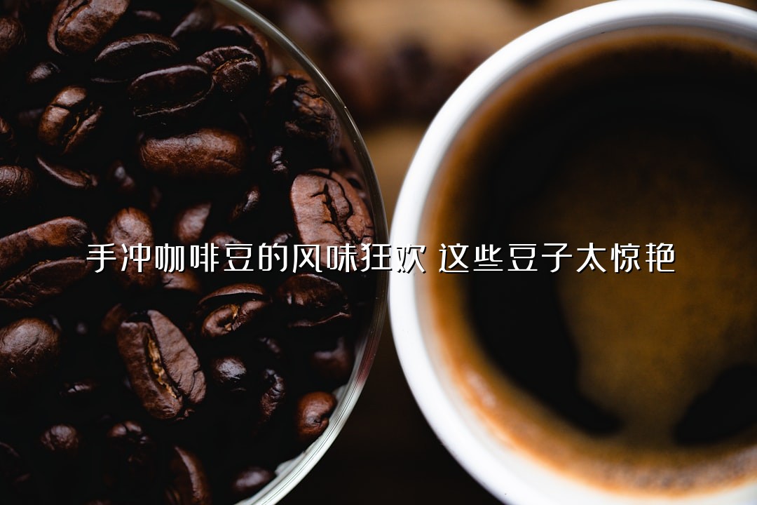 手冲咖啡豆的风味狂欢：这些豆子太惊艳