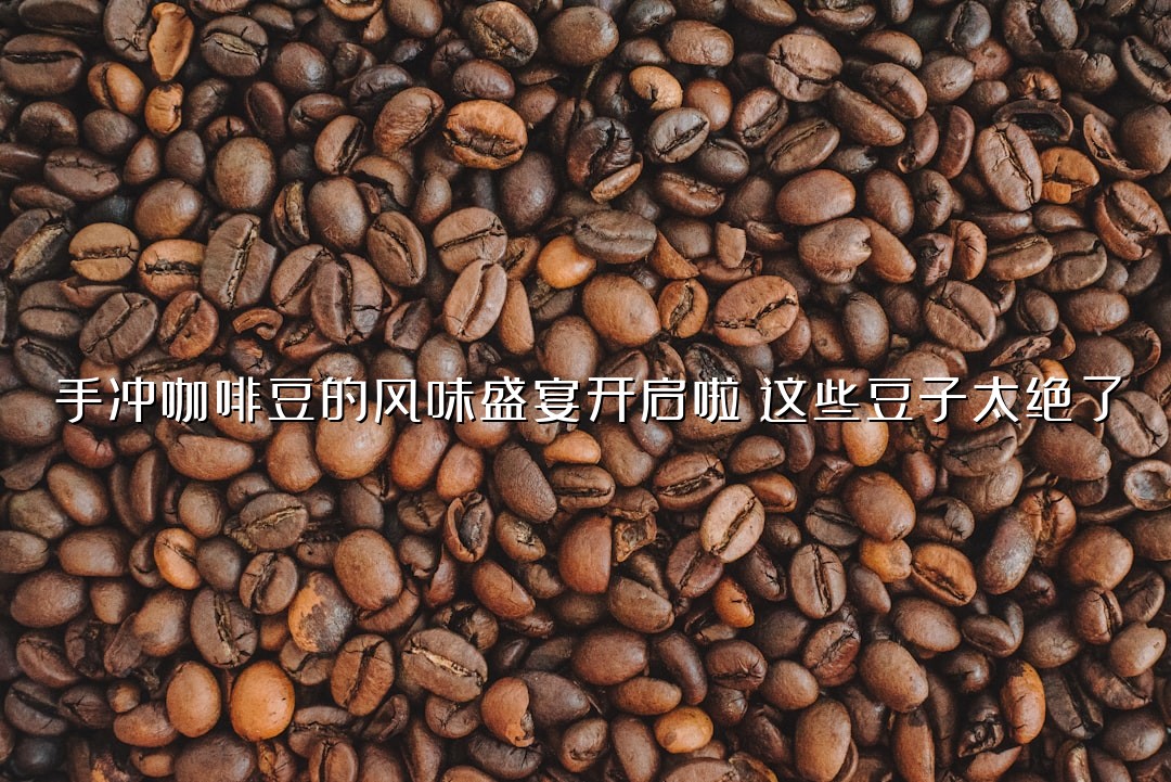 手冲咖啡豆的风味盛宴开启啦：这些豆子太绝了
