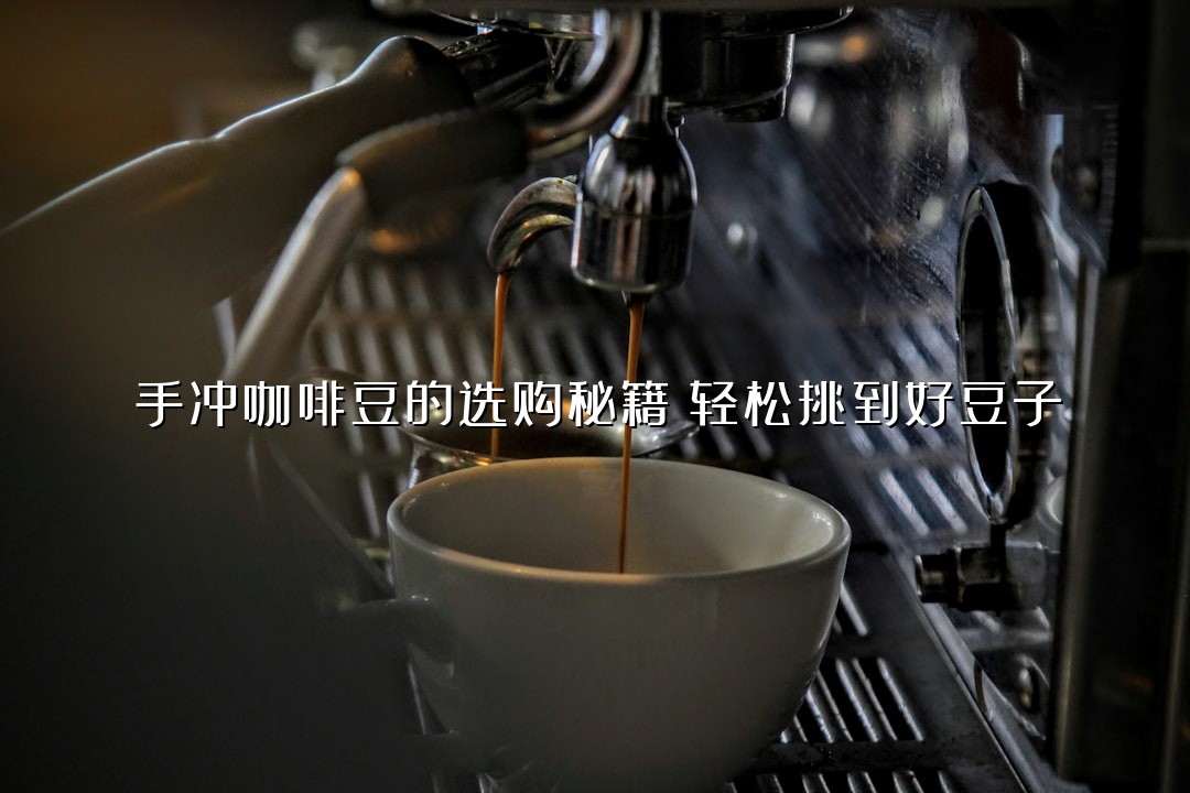 手冲咖啡豆的选购秘籍：轻松挑到好豆子