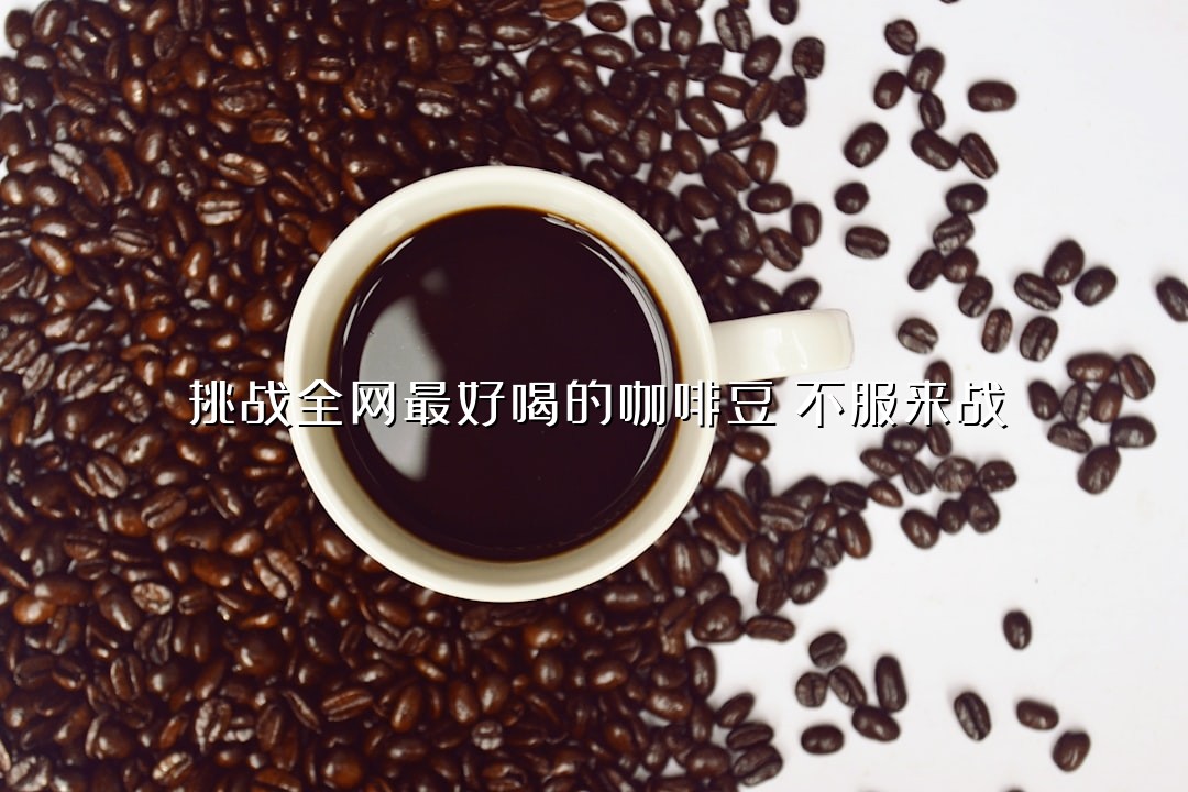 挑战全网最好喝的咖啡豆！不服来战